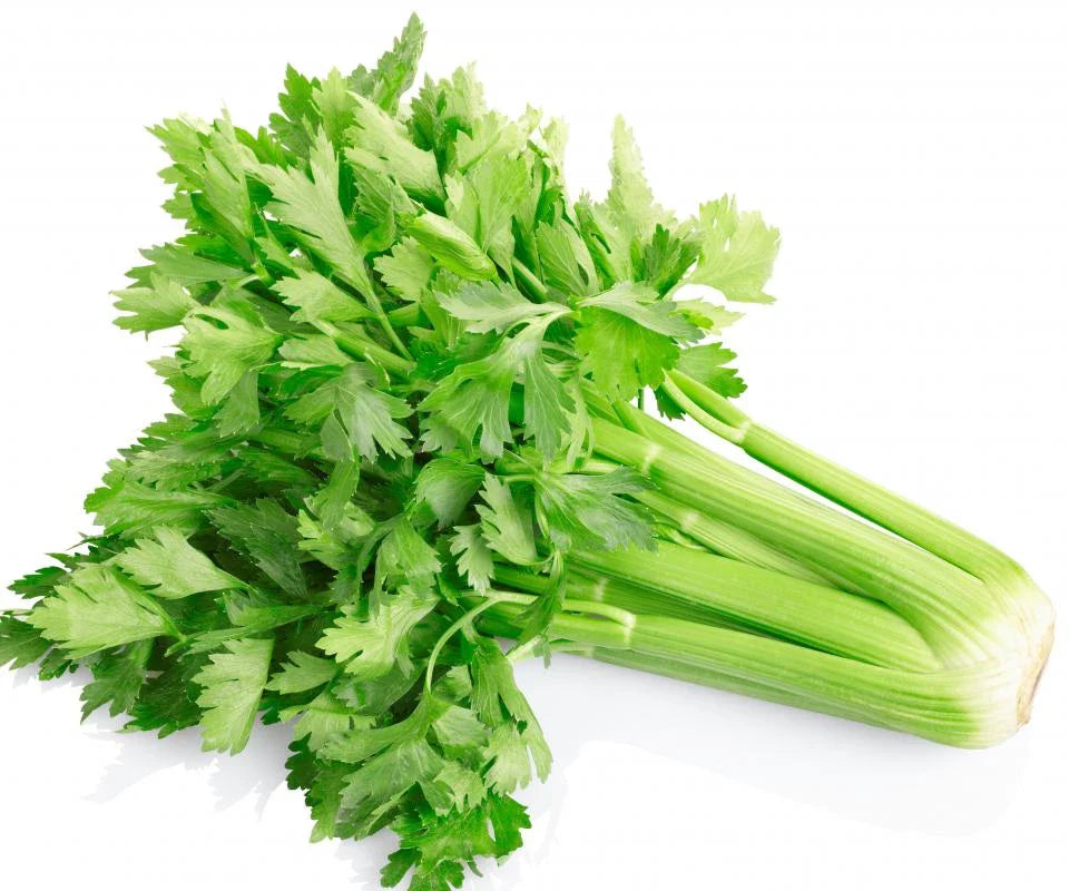 Image of celery with fresh leaves.