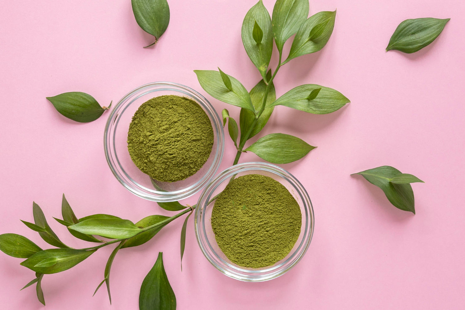 Two glass bowls of green powder surrounded by fresh green leaves on a pastel pink background.